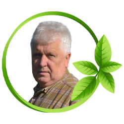 selemonas paltanavicius