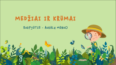 medziai ir krumai 1,5-3 metu vaikams