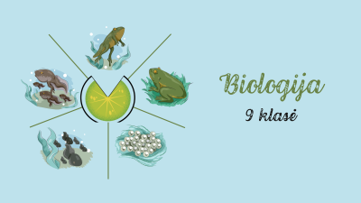 kas sudaro krauja?