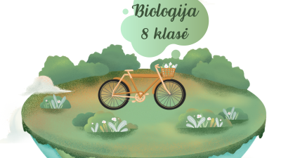 paveldima informacija kaip ji perduodama?