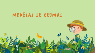 medziai ir krumai 3-5 metu vaikams