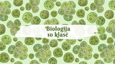 biotechnologijos ir ju reiksme