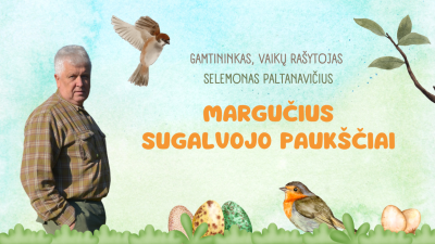margucius sugalvojo pauksciai
