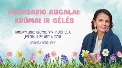 pavasario augalai: krumai ir geles 3-5 metu vaikams