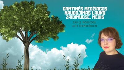 gamtines medziagos naudojimas lauko zaidimuose. medis