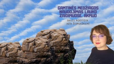 gamtines medziagos naudojimas lauko zaidimuose. akmuo