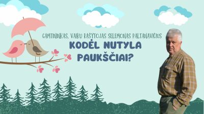 kodel nutyla pauksciai?