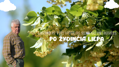 po zydincia liepa
