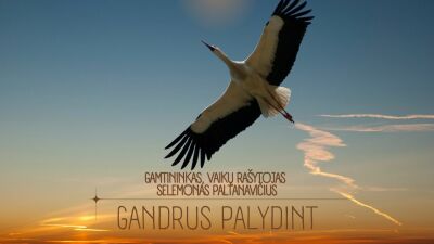 gandrus palydint