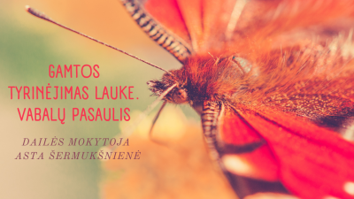 gamtos tyrinejimas lauke. vabalu pasaulis