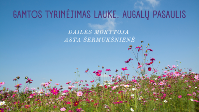 gamtos tyrinejimas lauke. augalu pasaulis
