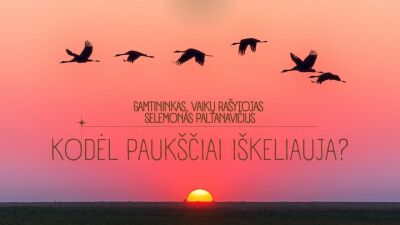 pasaulio pazinimas: kodel pauksciai iskeliauja?