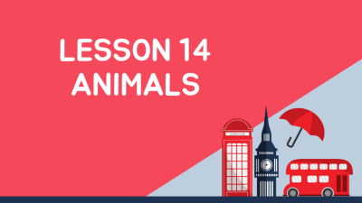 anglu kalba: pamoka 14 - animals