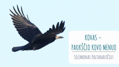 kovas paukscio kovo menuo